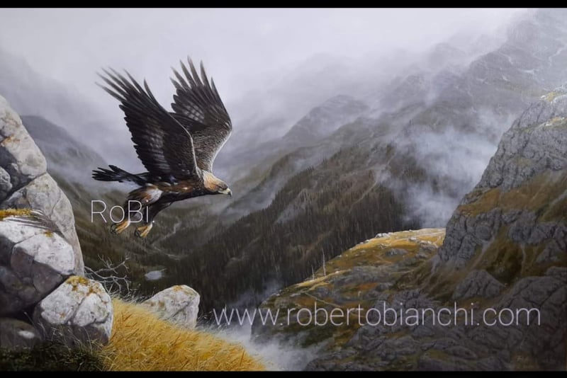 Roberto Bianchi pitture di animali
