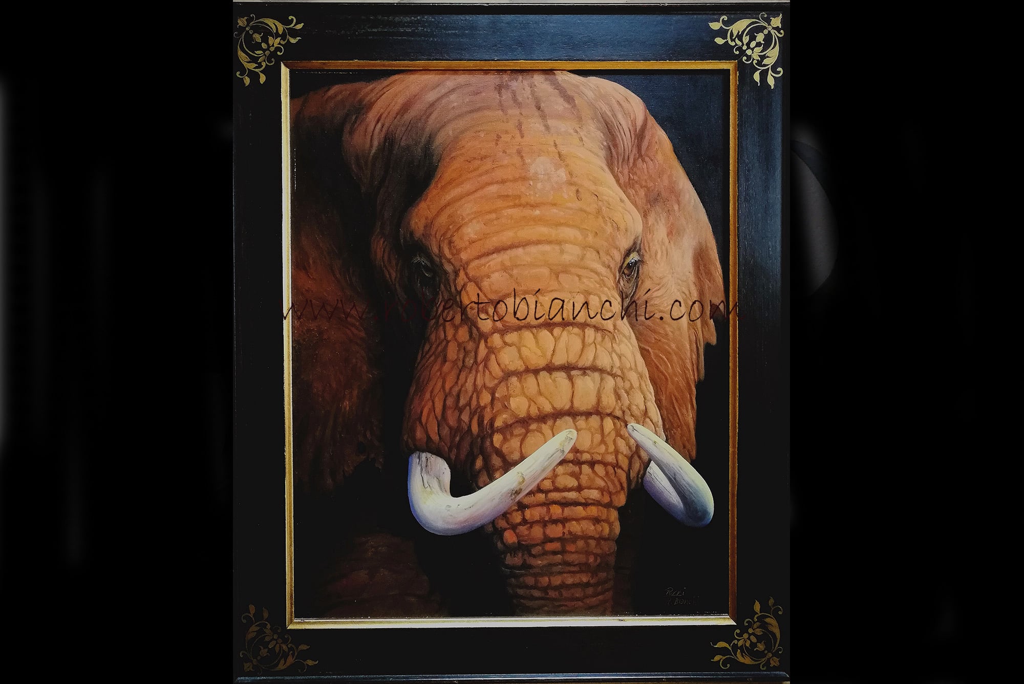 Roberto Bianchi pitture animali