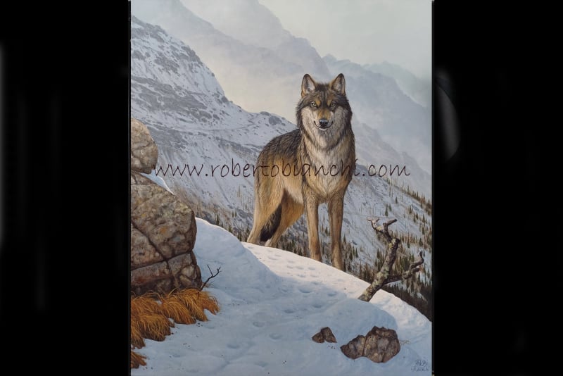 Roberto Bianchi pitture animali