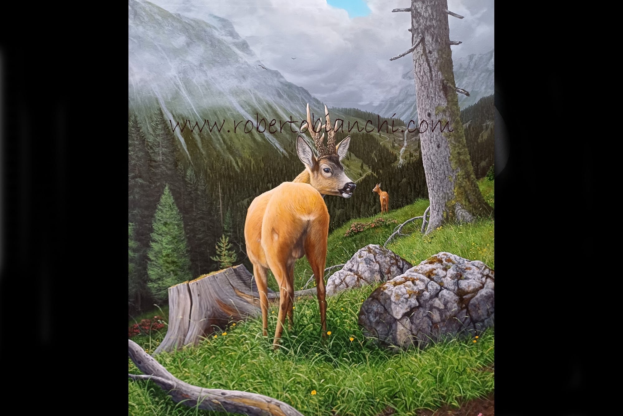 Roberto Bianchi pitture animali