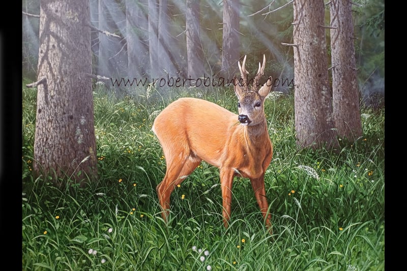 Roberto Bianchi pitture animali