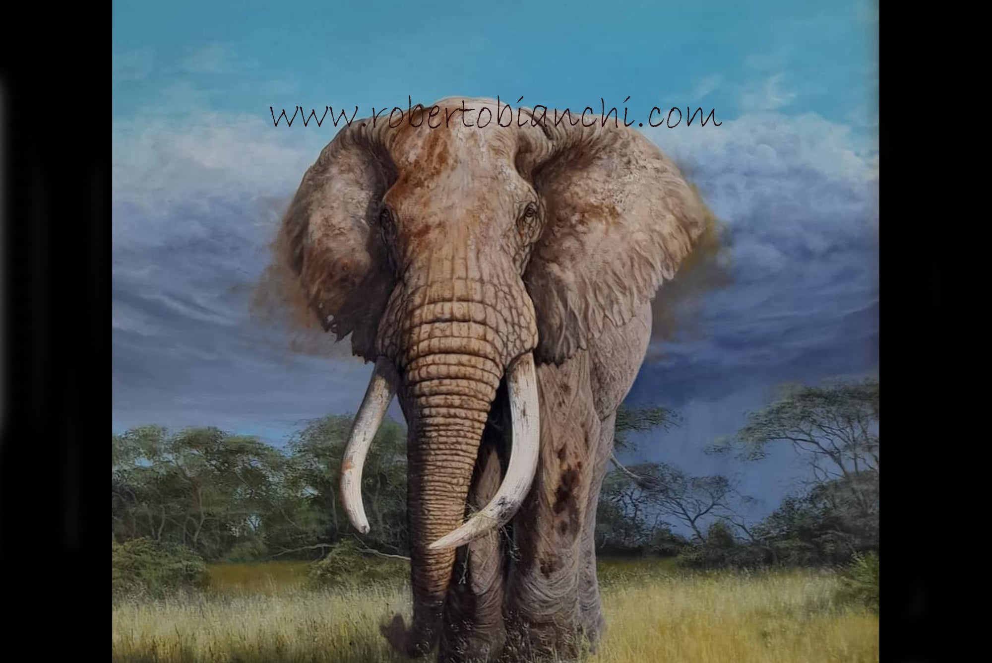 Roberto Bianchi pitture di animali