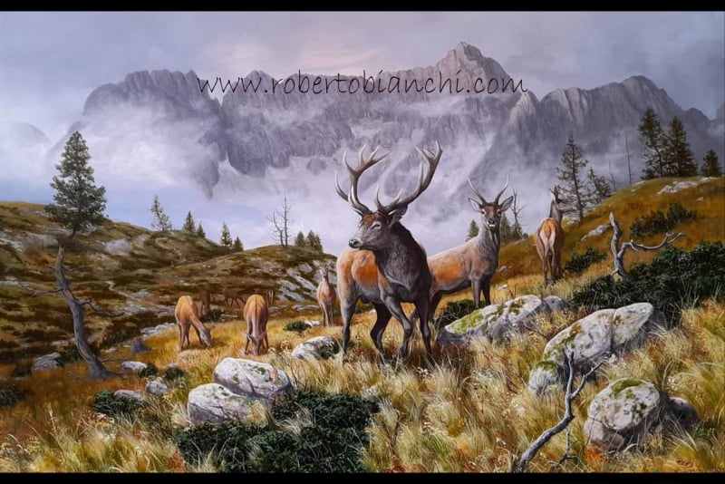 Roberto Bianchi pitture di animali