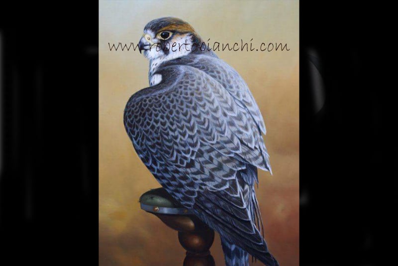 Roberto Bianchi pitture di animali