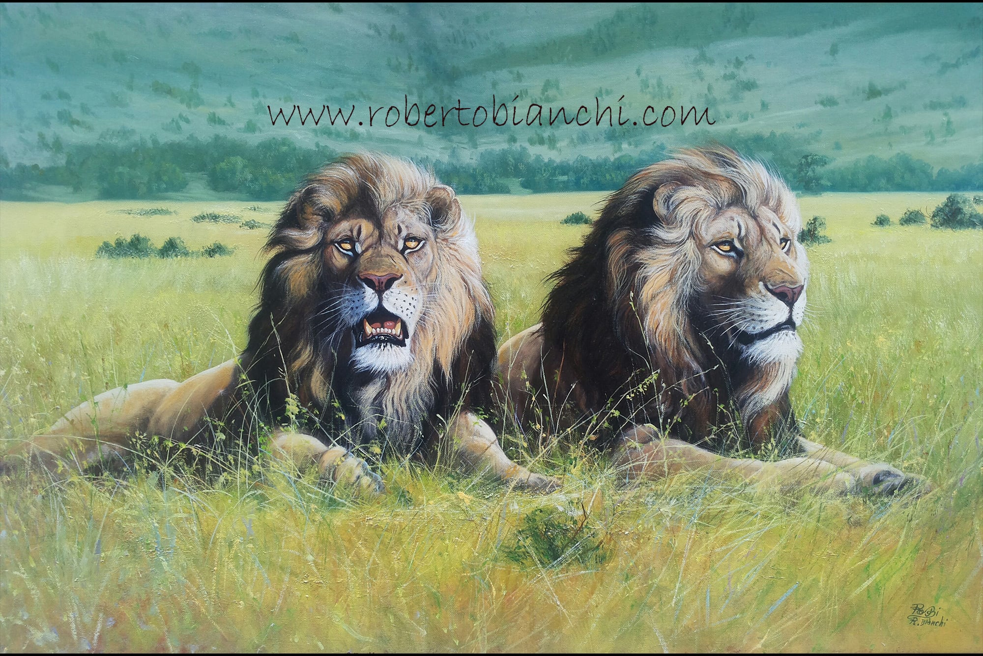 Roberto Bianchi pitture di animali