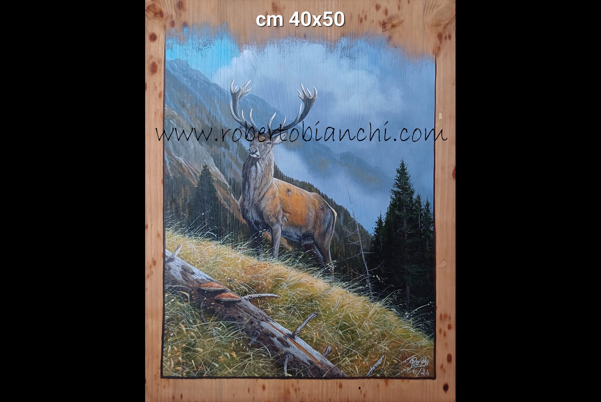 Roberto Bianchi dipinti olio su legno
