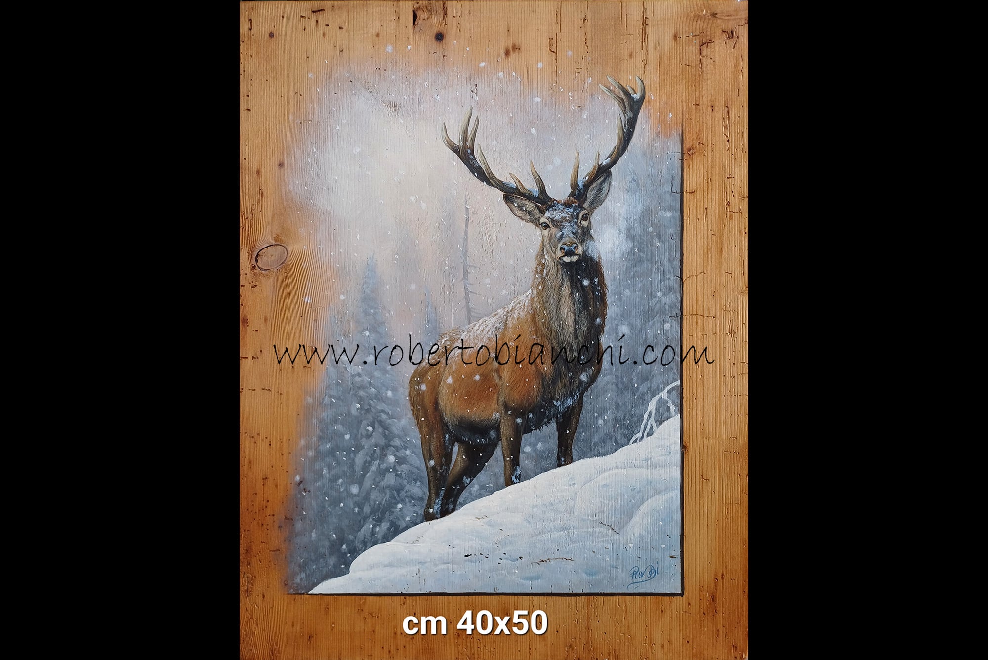 Roberto Bianchi dipinti olio su legno
