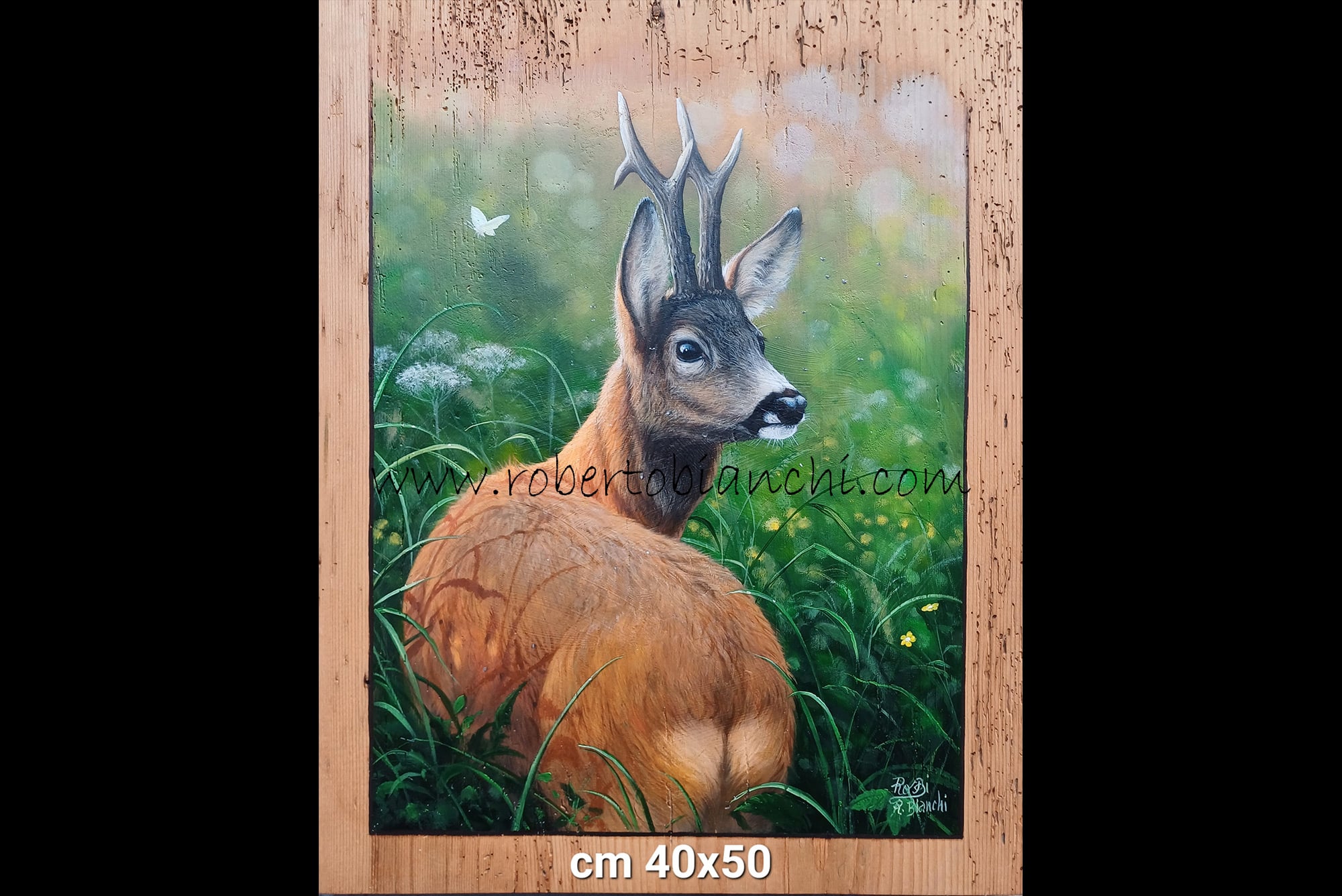 Roberto Bianchi dipinti olio su legno