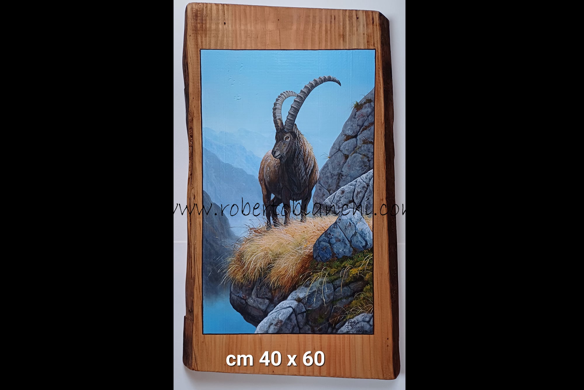 Roberto Bianchi dipinti olio su legno