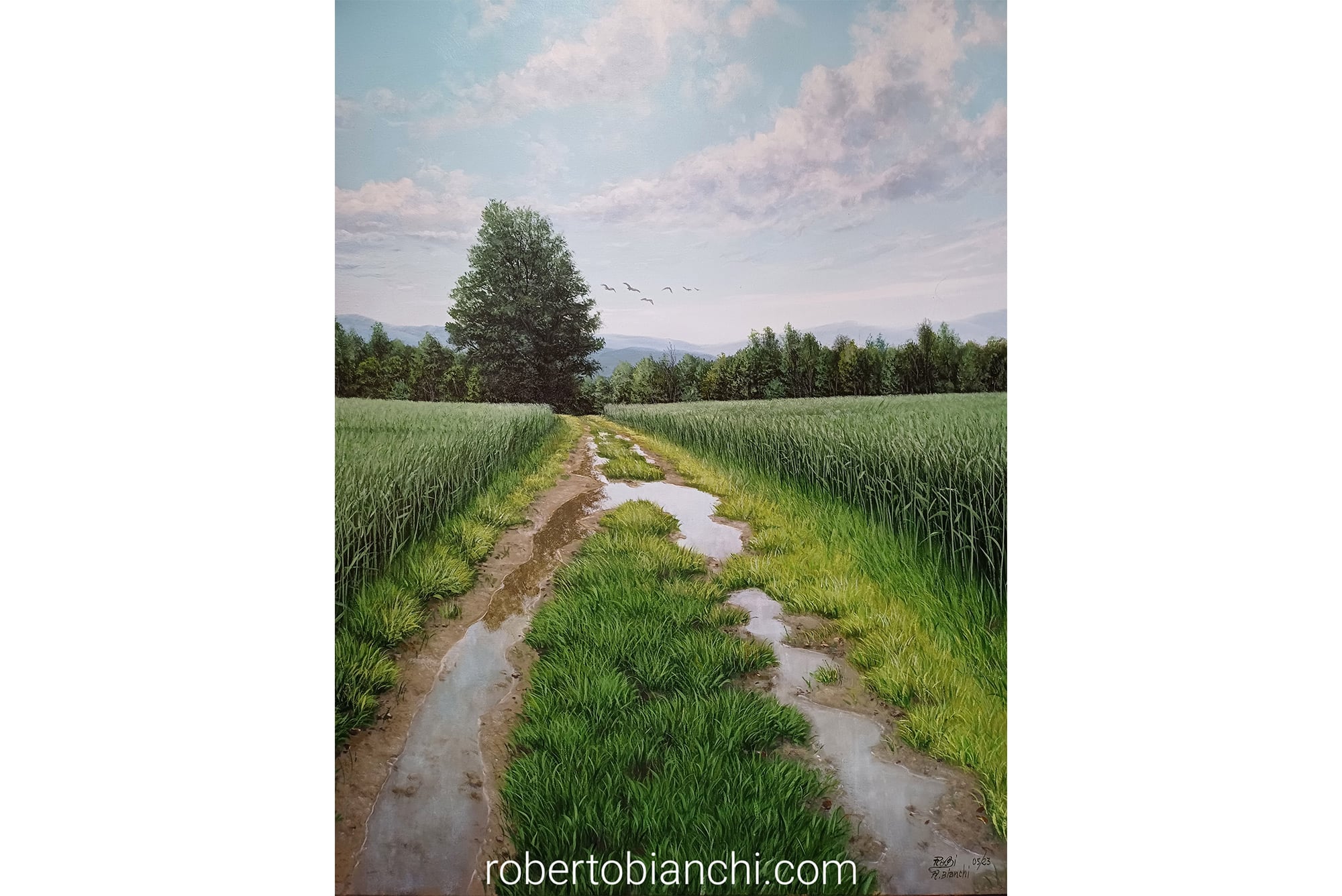 Roberto Bianchi pitture paesaggi