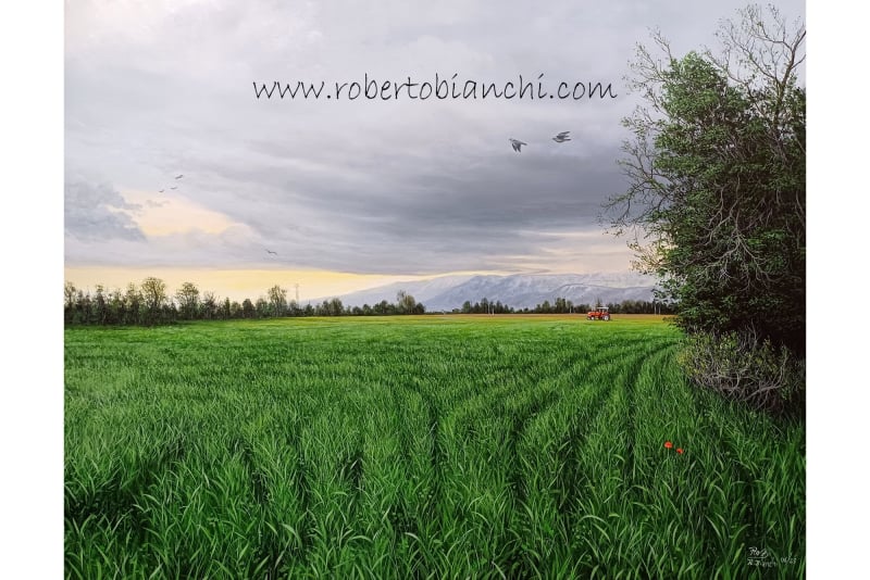 Roberto Bianchi pitture paesaggi