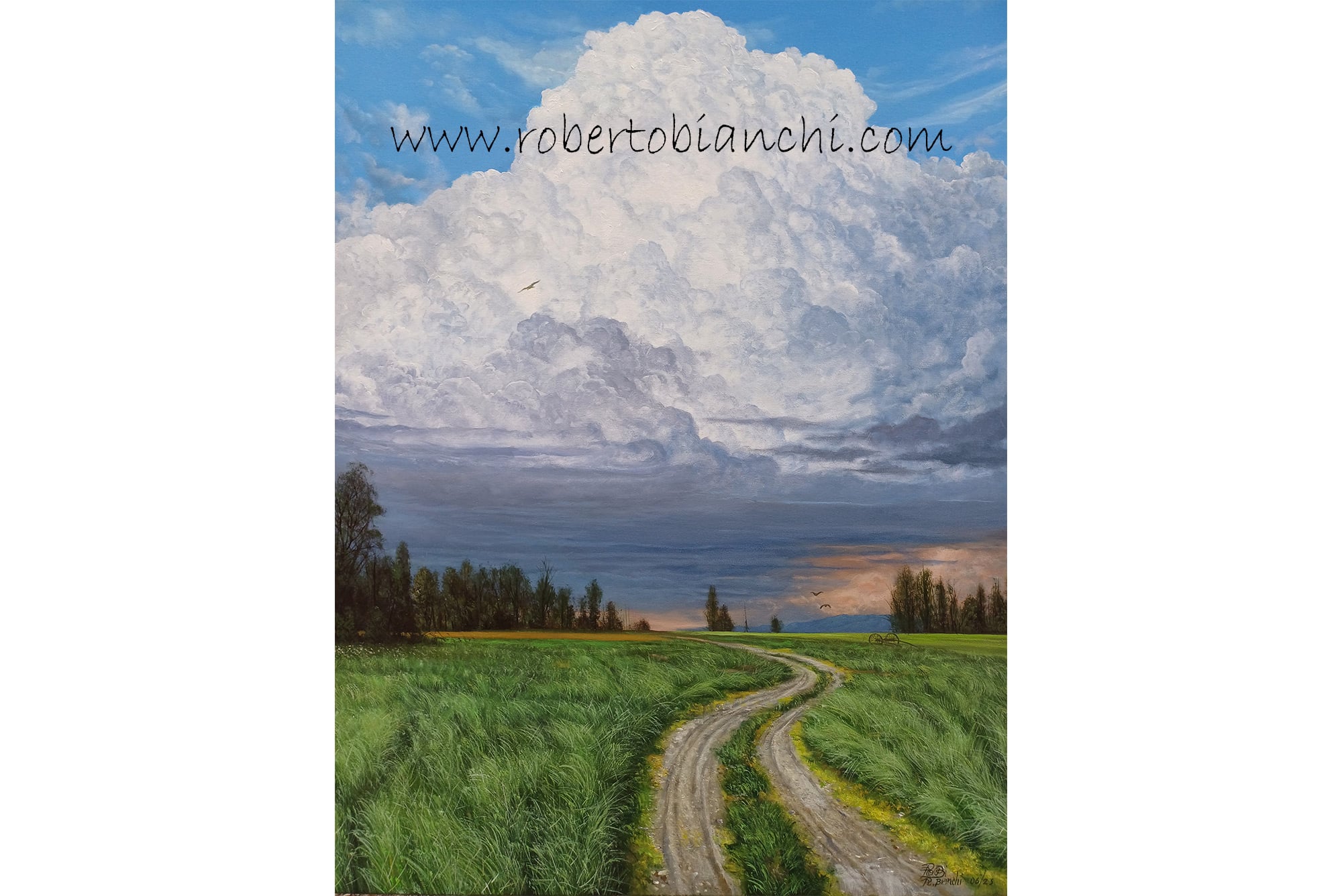 Roberto Bianchi pitture paesaggi