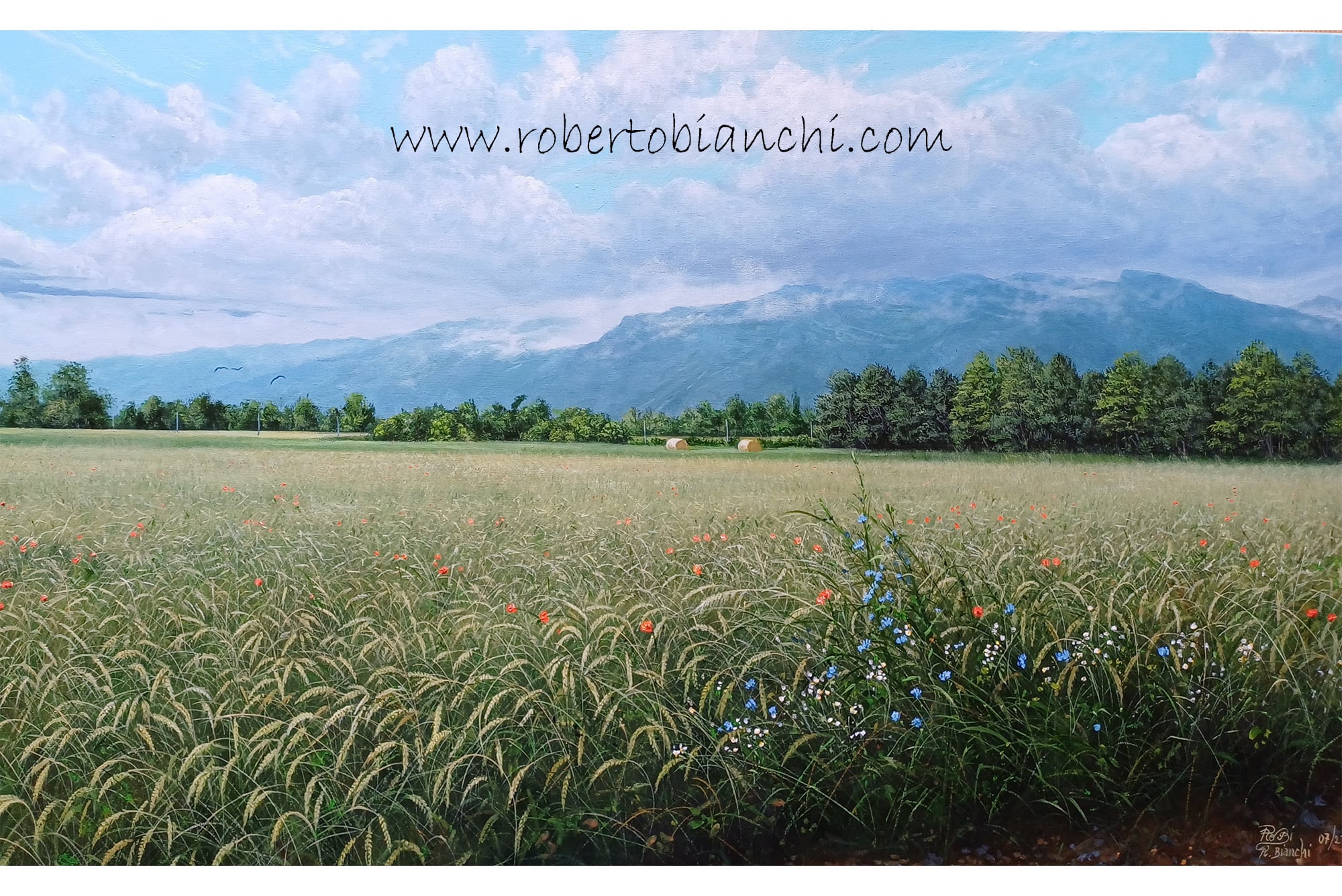 Roberto Bianchi pitture paesaggi