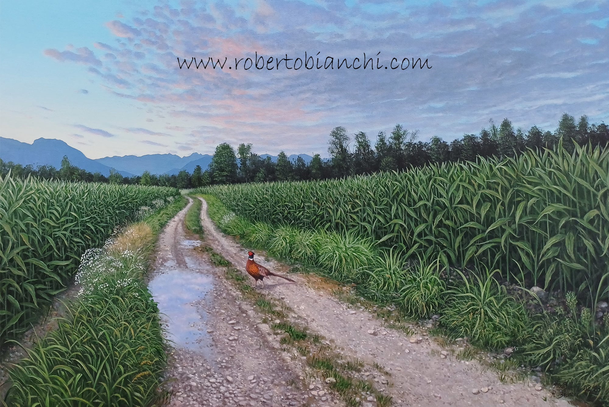 Roberto Bianchi pitture paesaggi