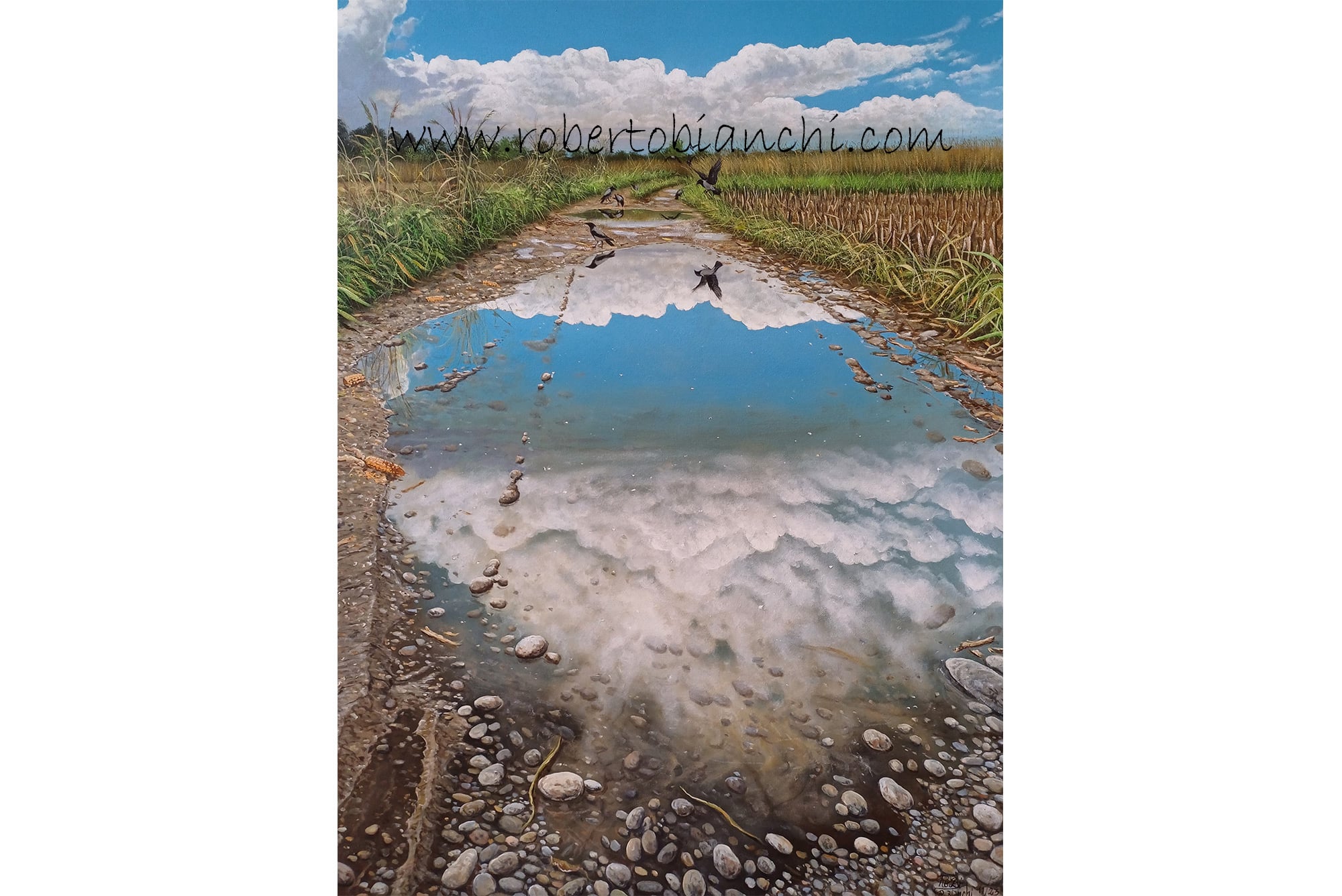 Roberto Bianchi pitture paesaggi