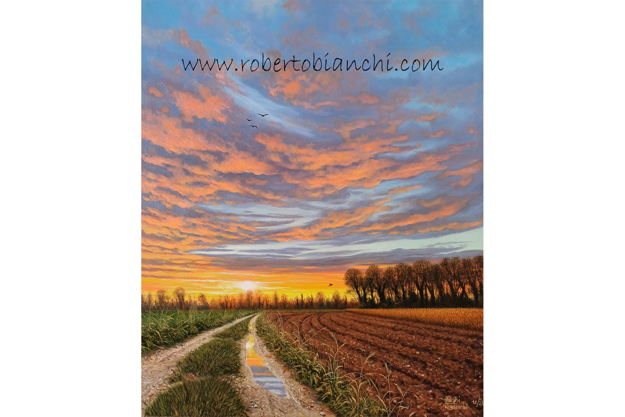 Roberto Bianchi pitture paesaggi
