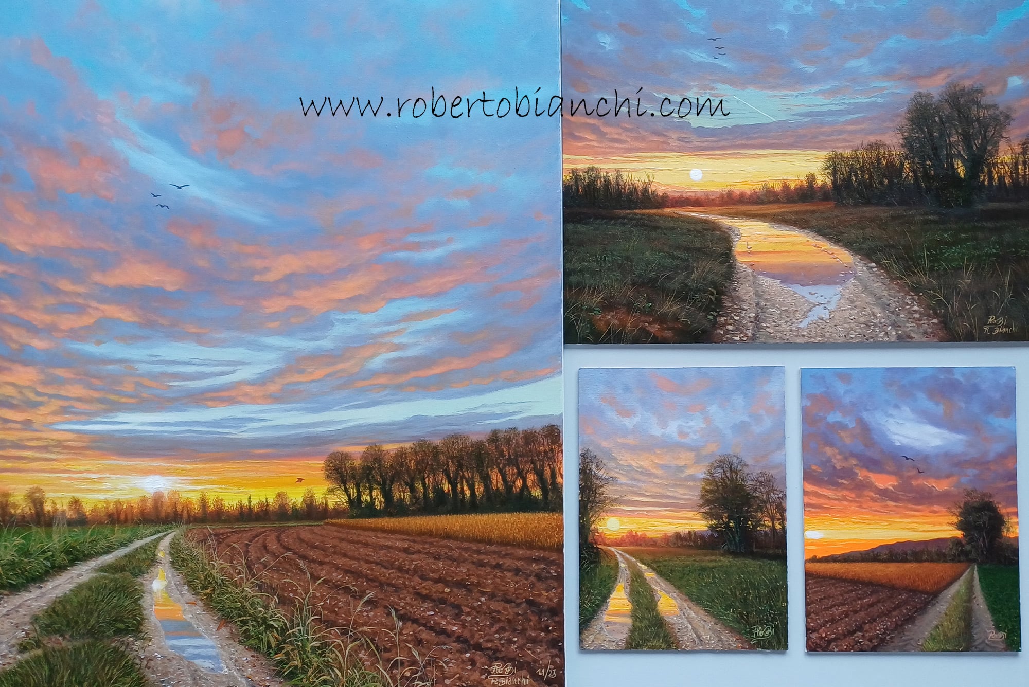 Roberto Bianchi pitture paesaggi